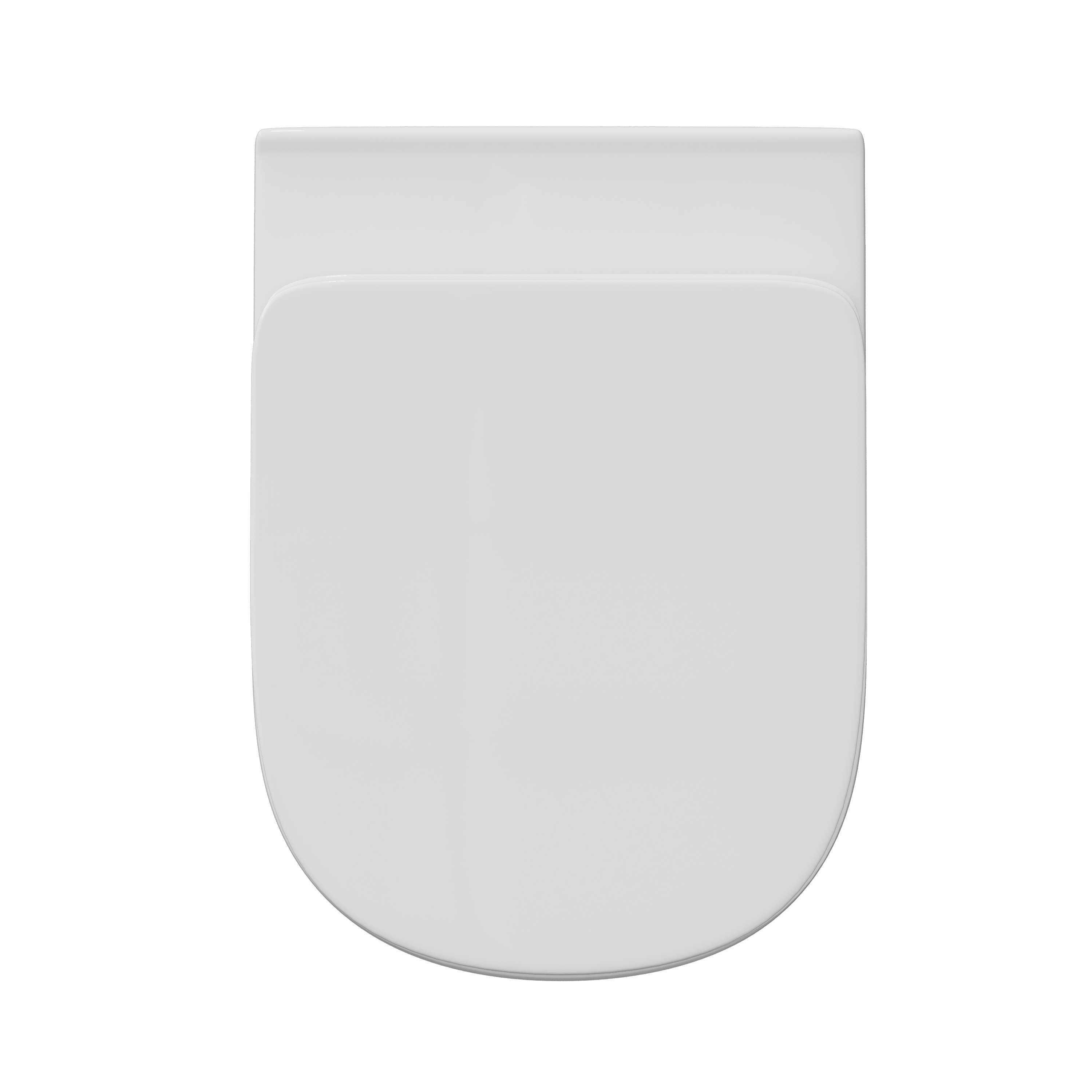 Lorraine Rimless Back To Wall Toilet & Soft Close Seat