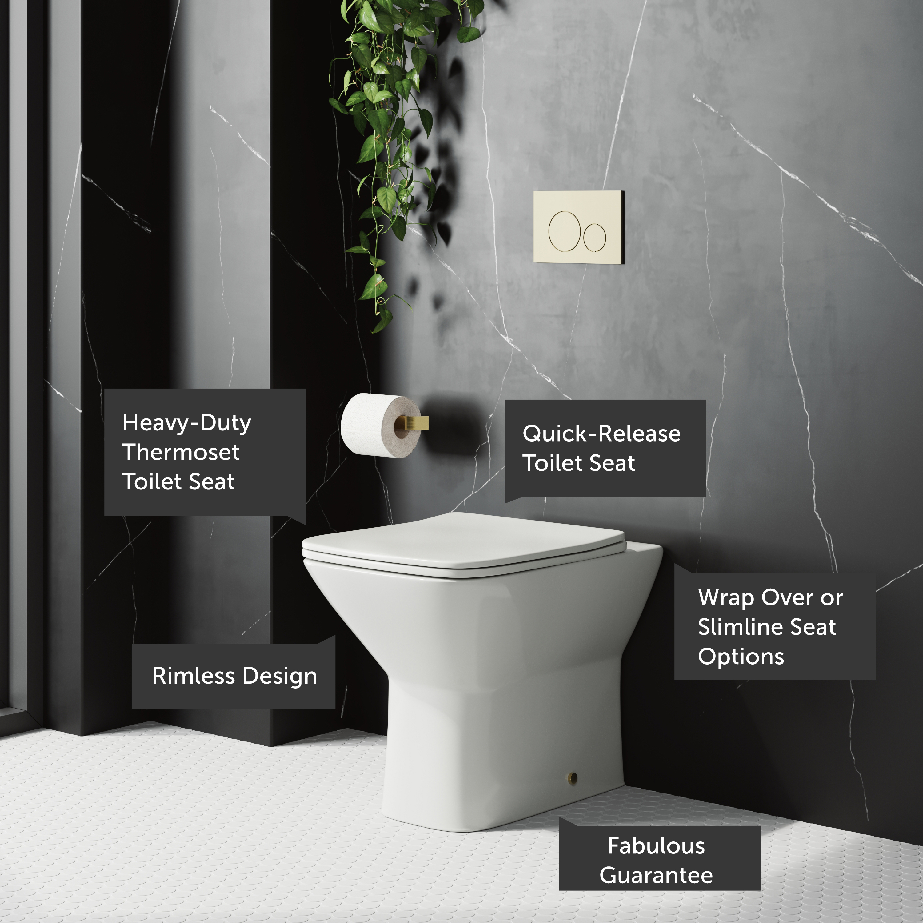 Harbour Alchemy Rimless Back to Wall Toilet & Soft Close Seat