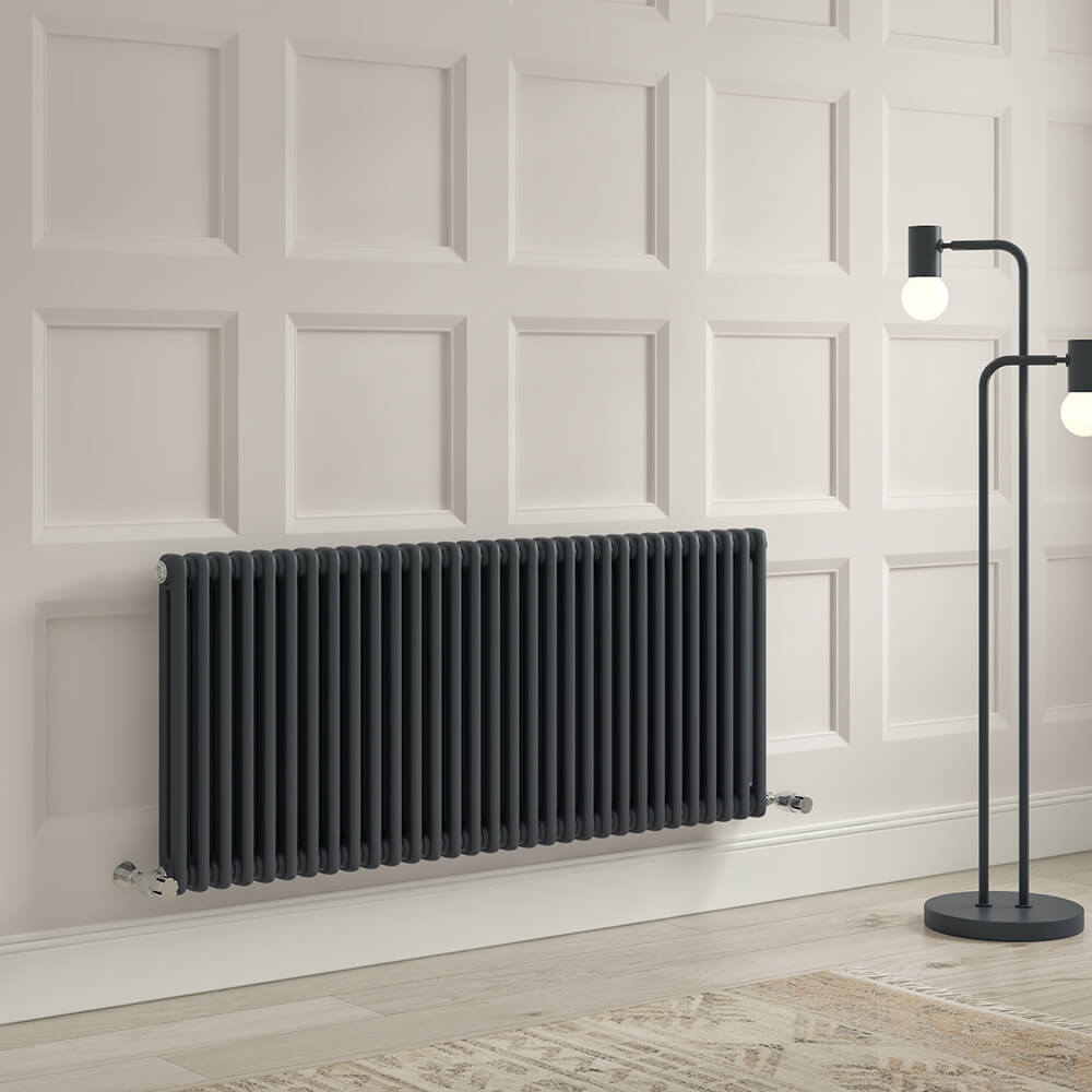 Brenton Olympus Horizontal 2 Column Radiator - Anthracite