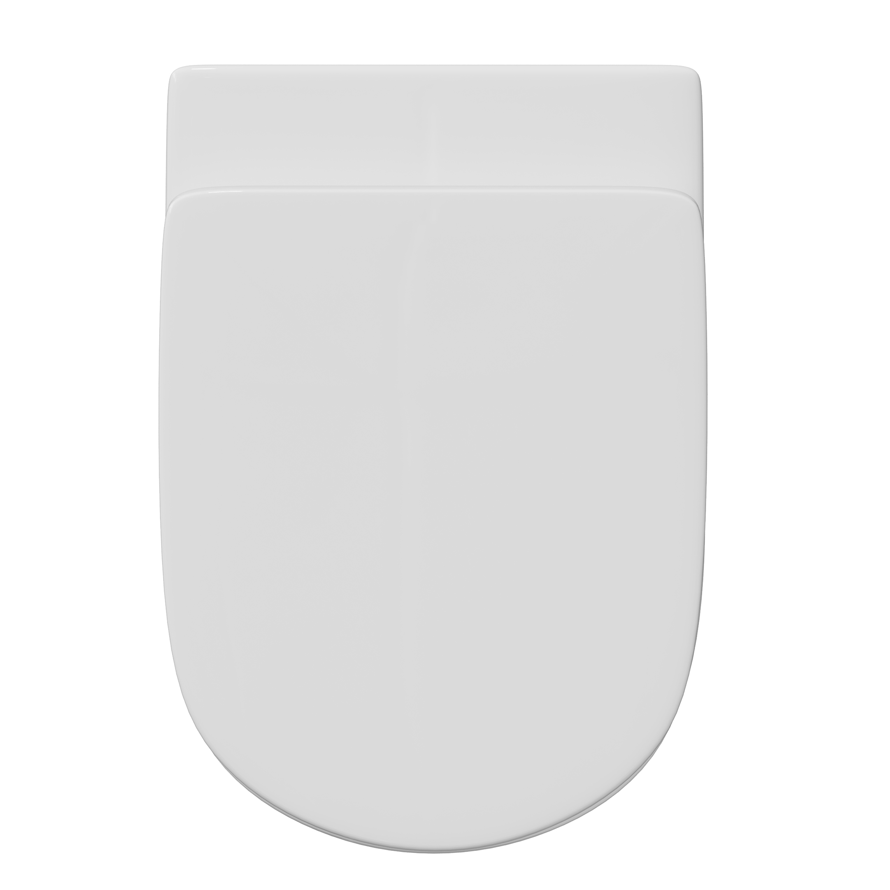 Anderson Rimless Back to Wall Toilet & Soft Close Seat