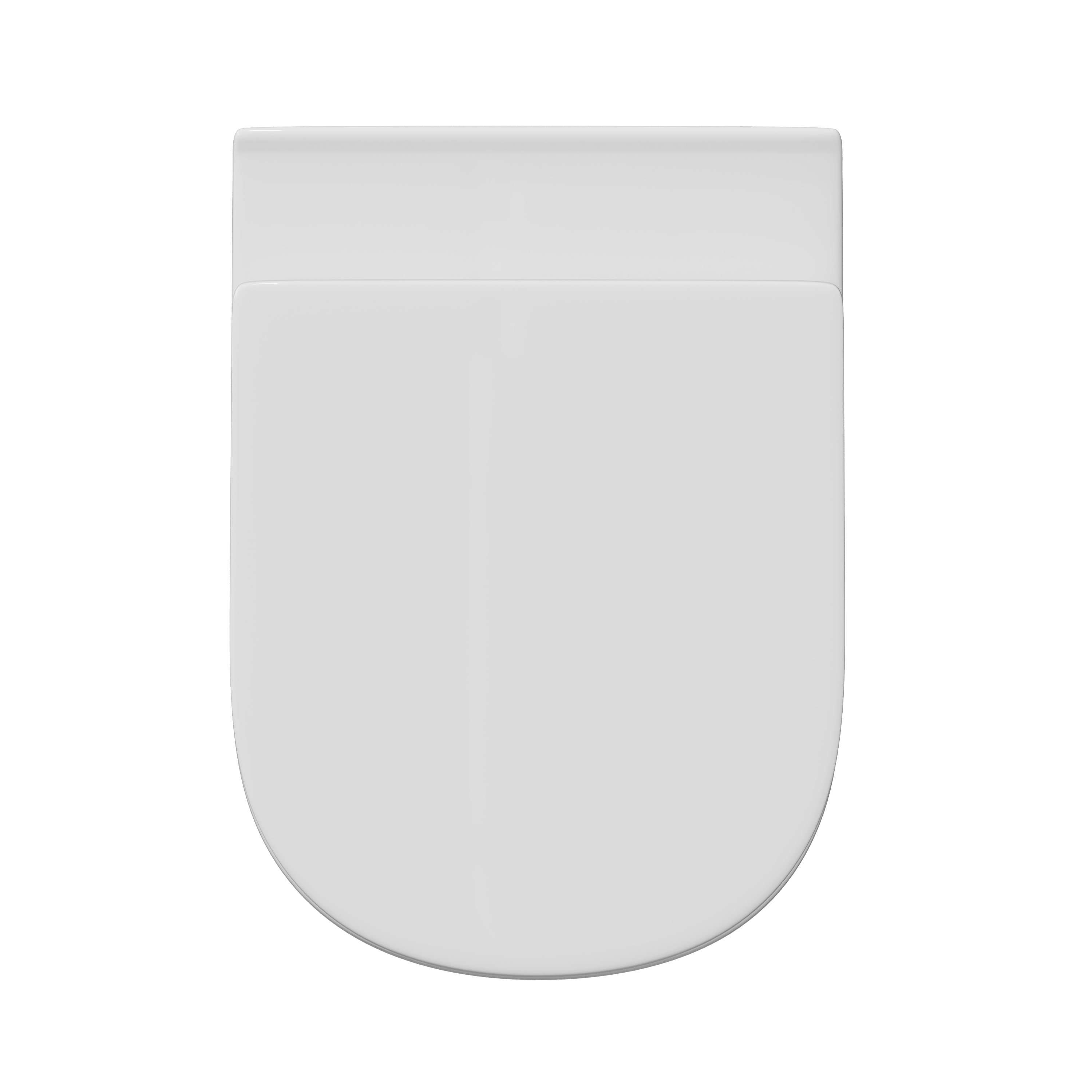 Lorraine Rimless Back To Wall Toilet & Soft Close Seat