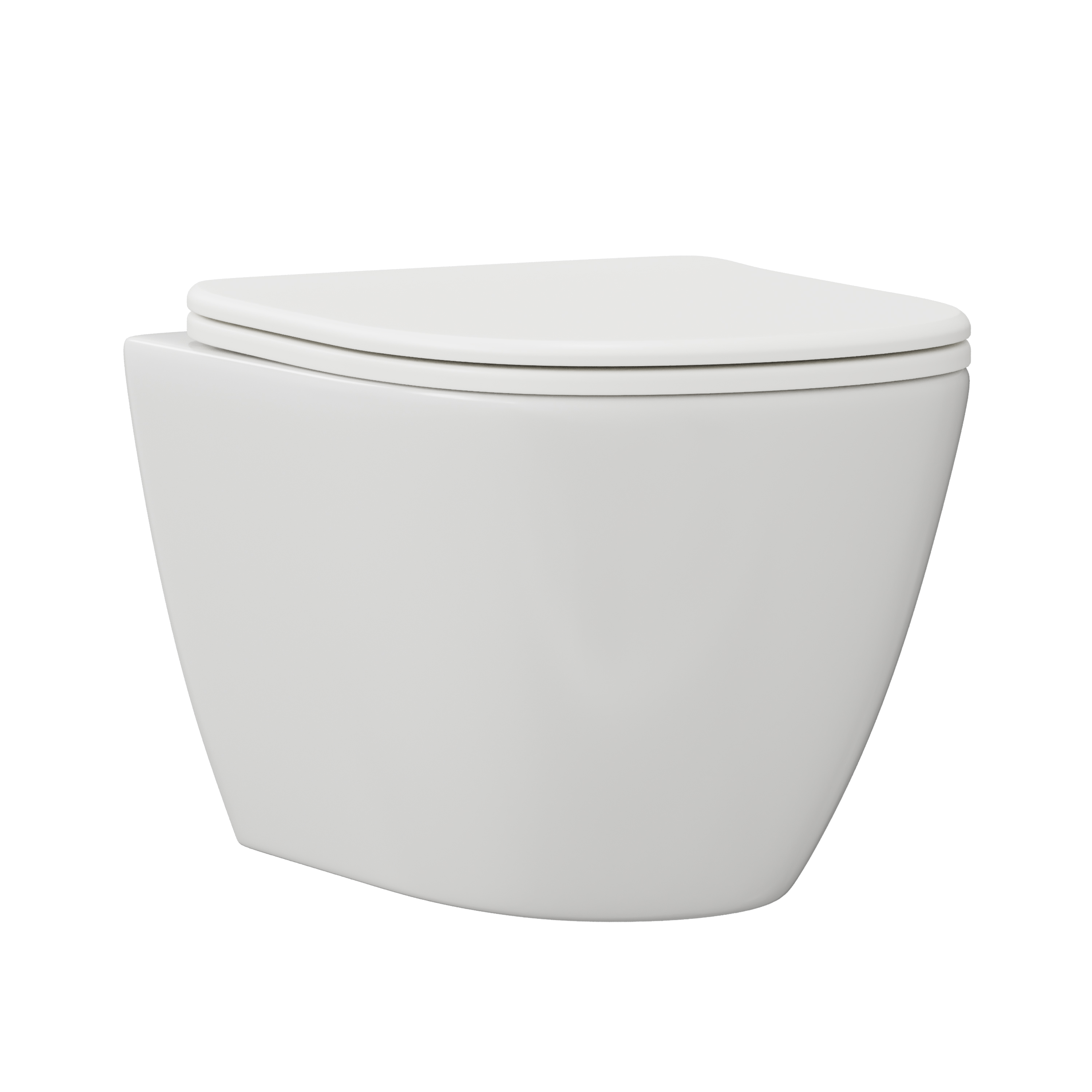 Harbour Clarity Rimless Wall Hung Toilet & Soft Close Seat