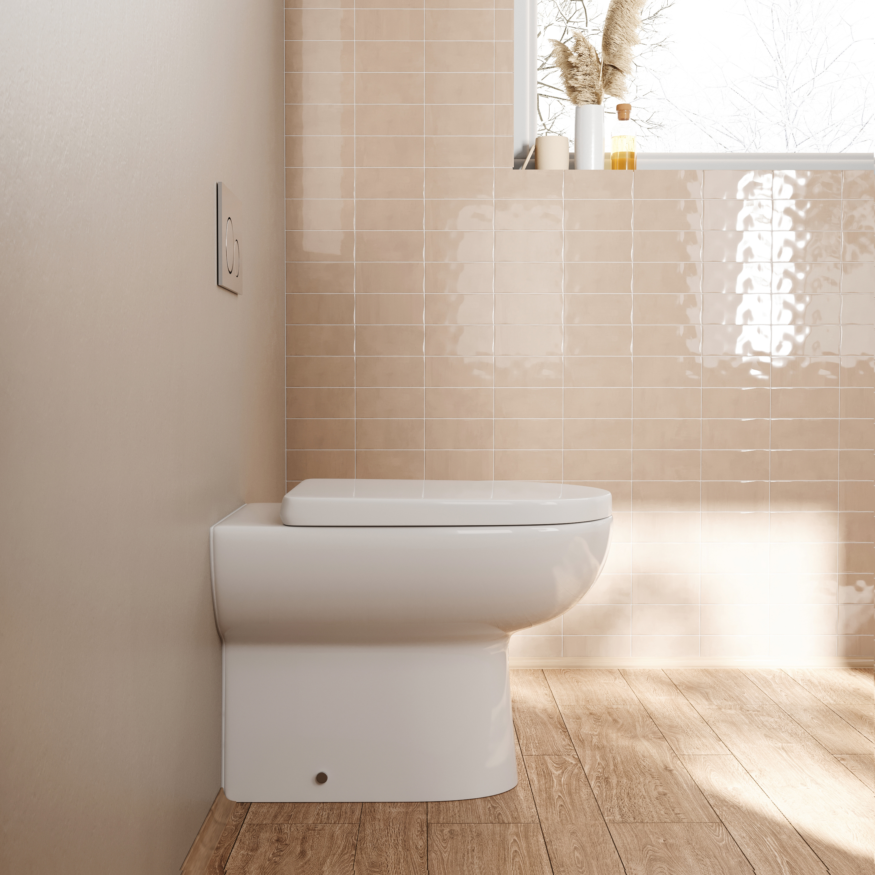 Anderson Rimless Back to Wall Toilet & Soft Close Seat