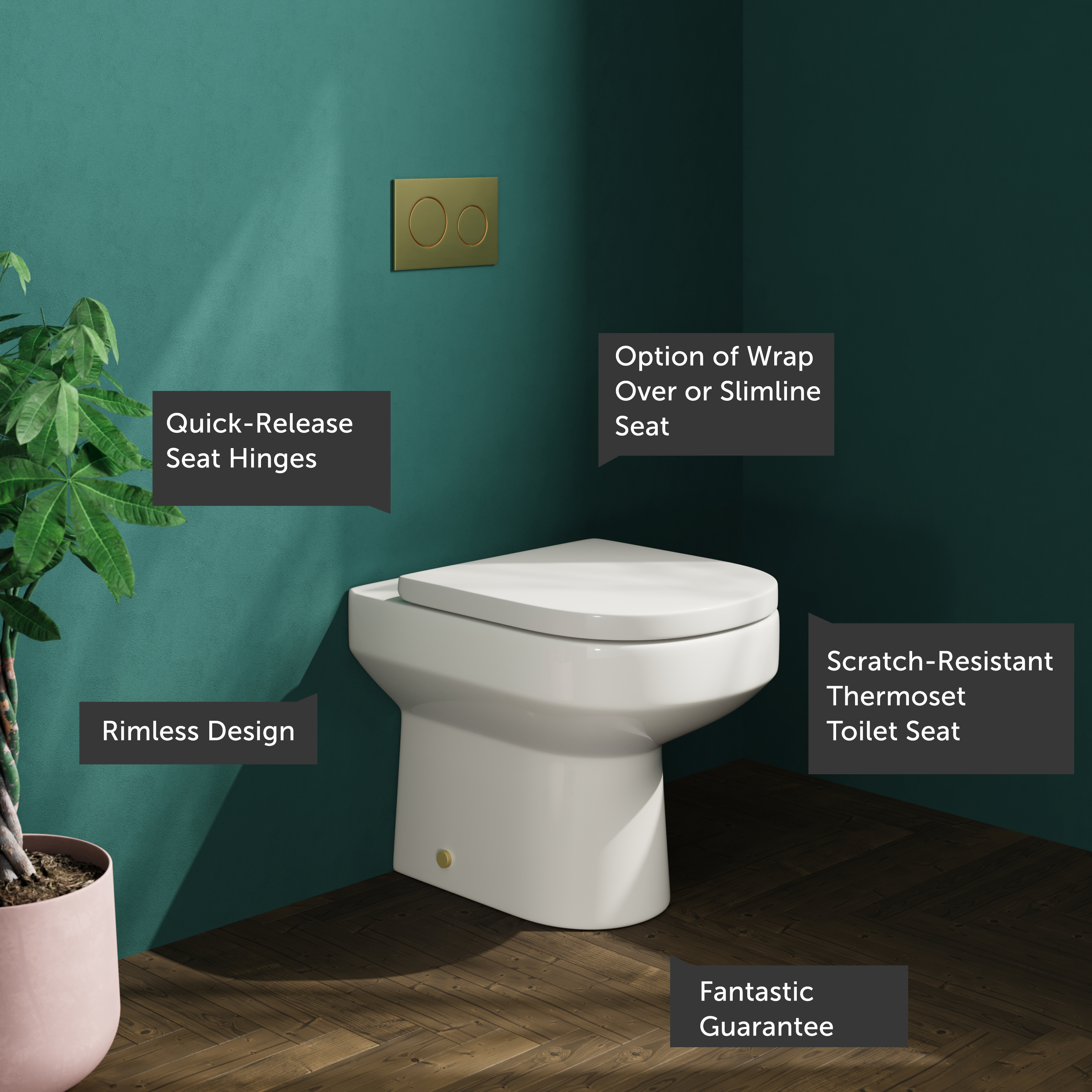 Lorraine Rimless Back To Wall Toilet & Soft Close Seat