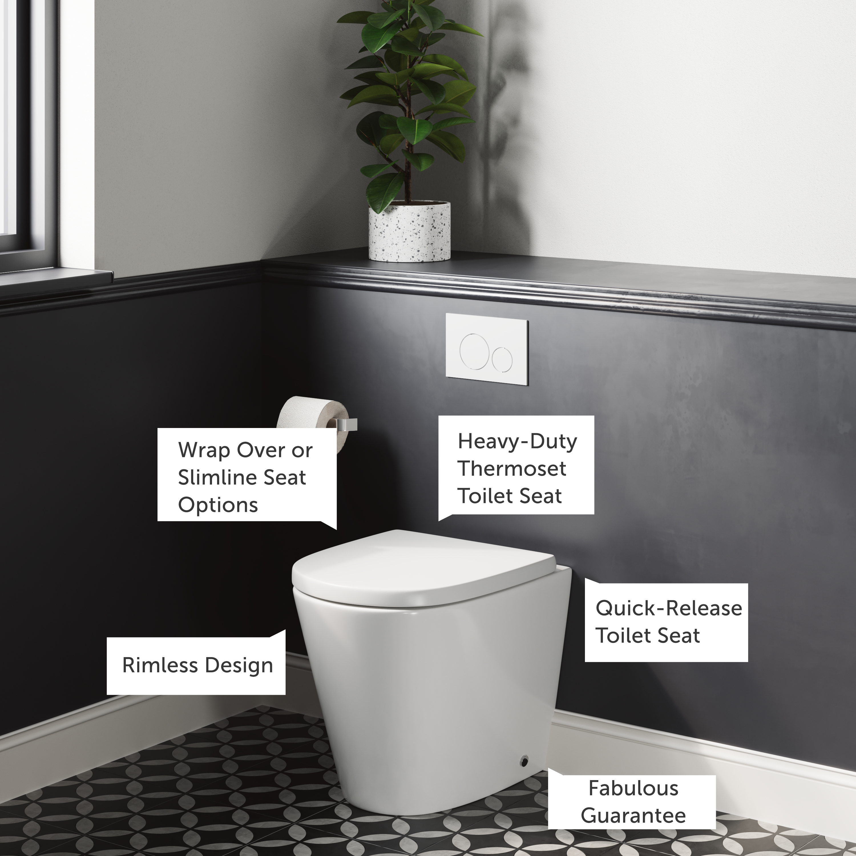 Harbour Clarity Back to Wall Rimless Toilet & Soft Close Seat