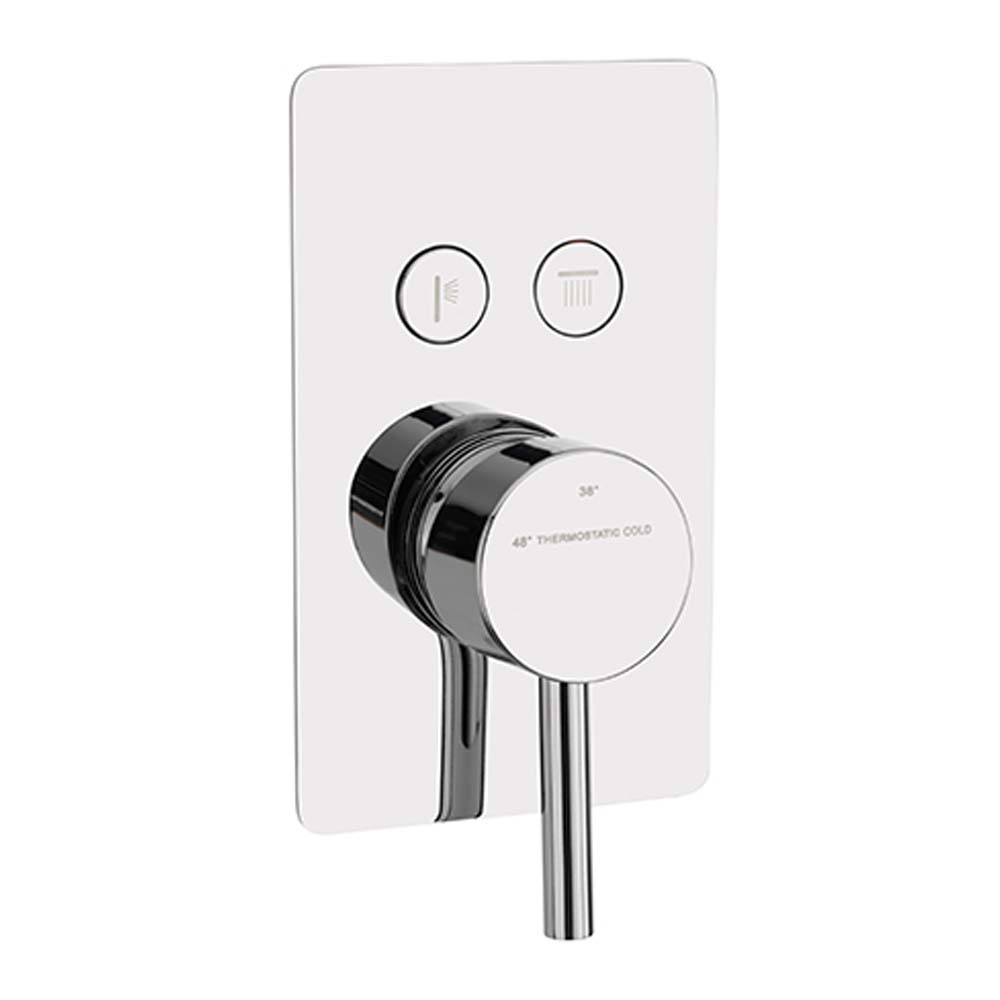 Sagittarius Ergo Lever 2 Outlet Concealed Thermostatic Push Button Shower Valve